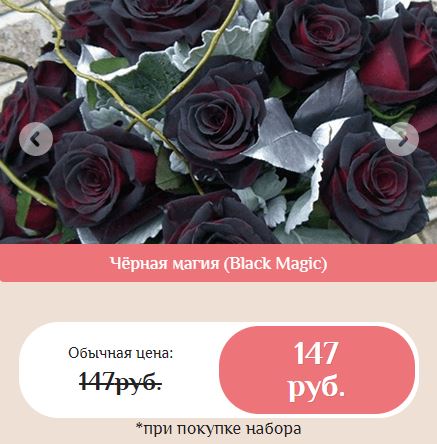 гибридные королевские розы купить в Великом Новгороде